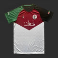 Maillot Palestine saison 2023-2024 édition spéciale Stand for Gaza de Le 12, maillot de football avec drapeau et logo.