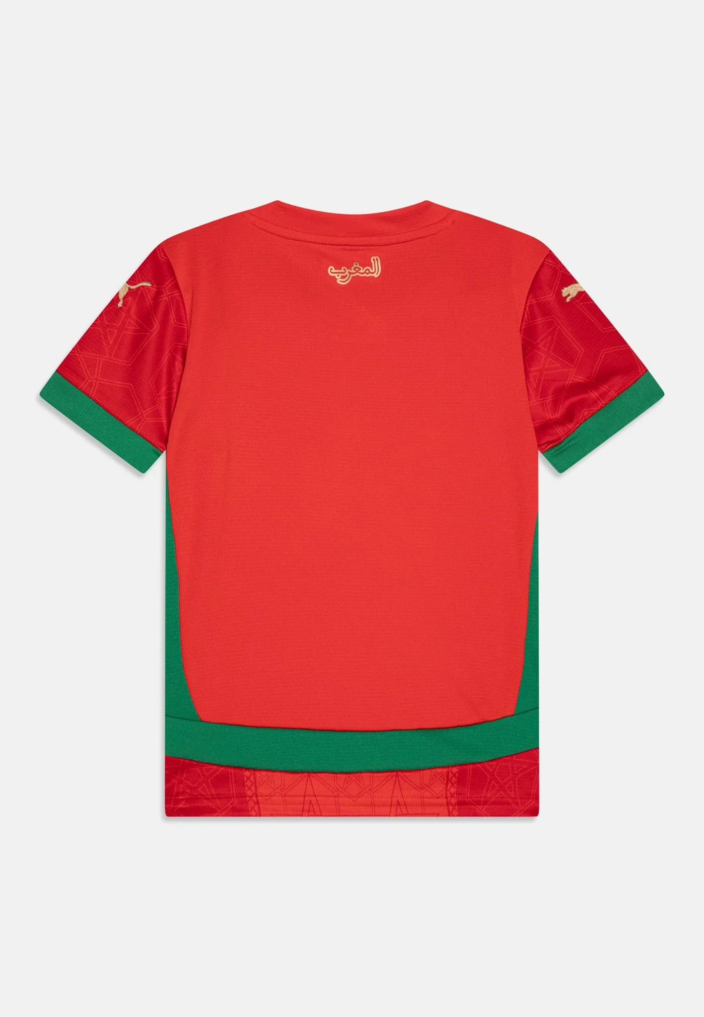 Maillot Maroc saison 2025 Le 12 -ème Maillot, vue détaillée du maillot avec logo et motifs rouges et verts.