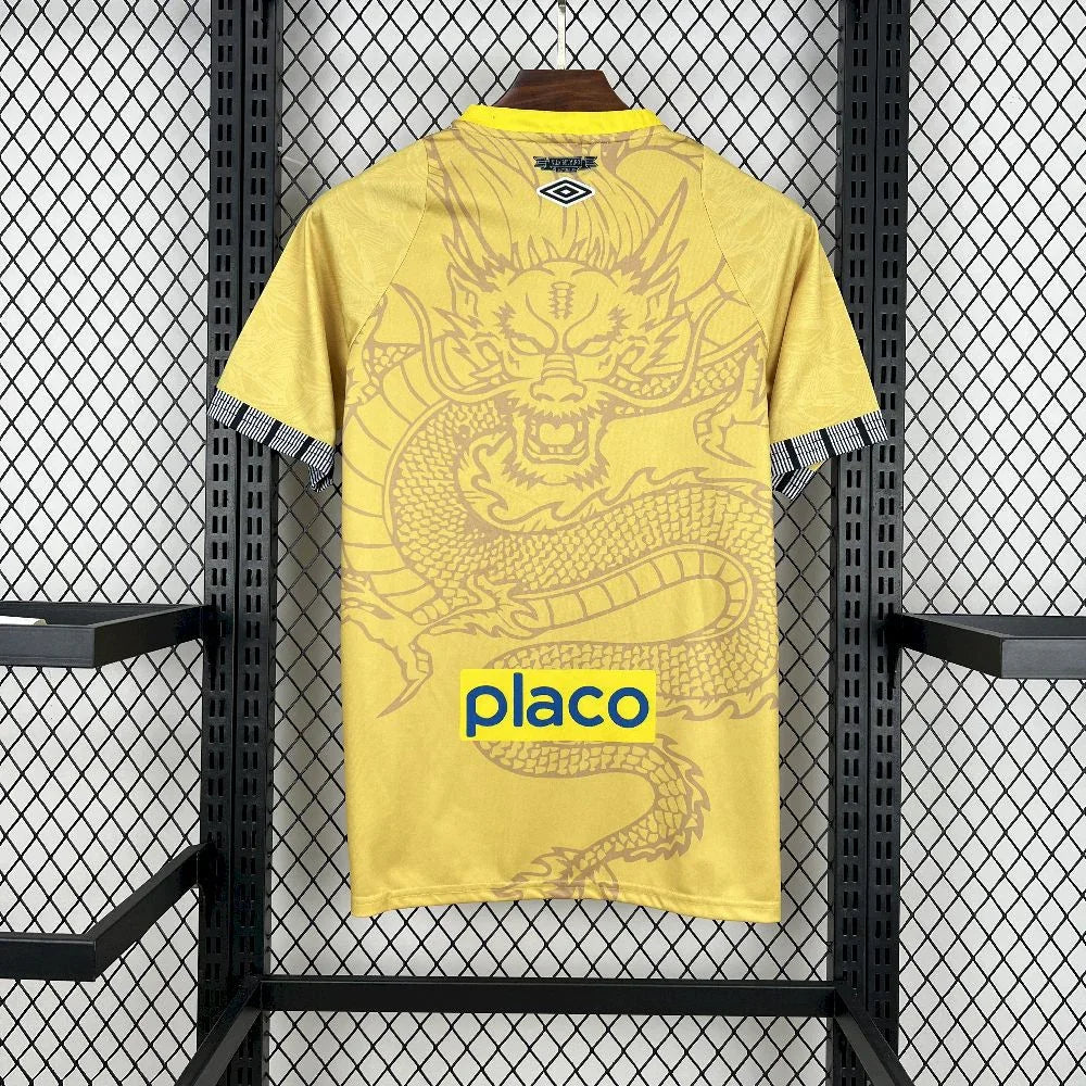 Maillot Santos concept 2025-26 de Le 12 -ème Maillot, design innovant, en tissu sportif avec logo et détails colorés visibles.