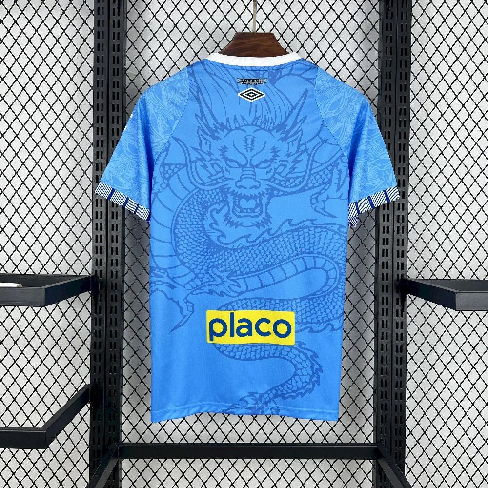 Maillot de football Santos concept 2025-26 de la marque Le 12-ème, vue de face avec logo et design moderne.