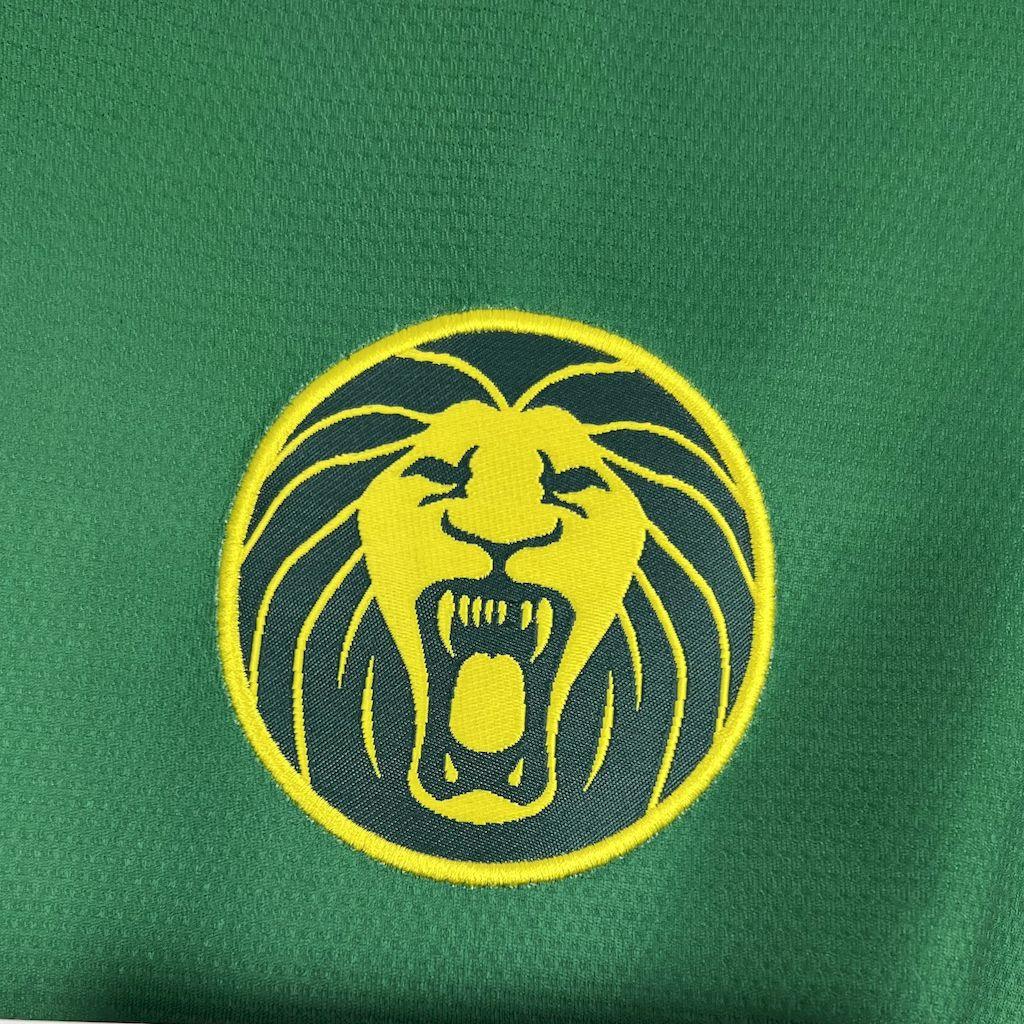 Maillot de football Cameroun 2025-26 Le 12-ème Maillot, maillot officiel de l'équipe nationale camerounaise.