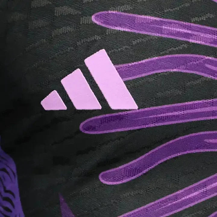 Maillot de football Argentine Concept 2023 2024 de la marque Le 12 -ème Maillot, vue de face avec détails du design.