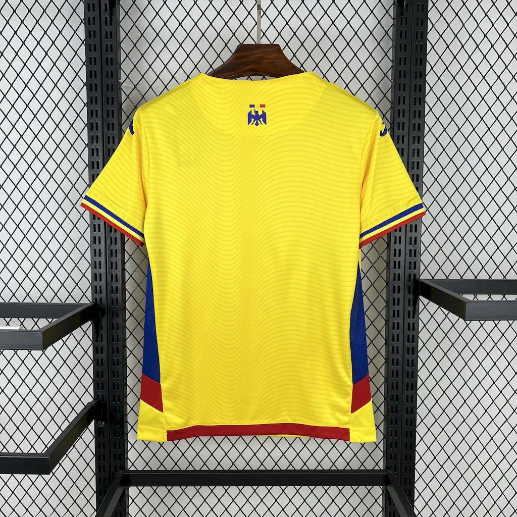 Maillot Romanie 2025 de Le 12 -ème Maillot, vue rapprochée montrant le design et les couleurs du maillot de sport.