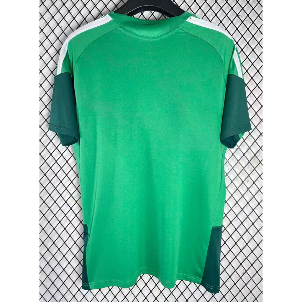 Maillot vert Algérie 25/26 Le 12 -ème Maillot, maillot de football pour jeunes, détail du design vert avec logo de l'équipe.