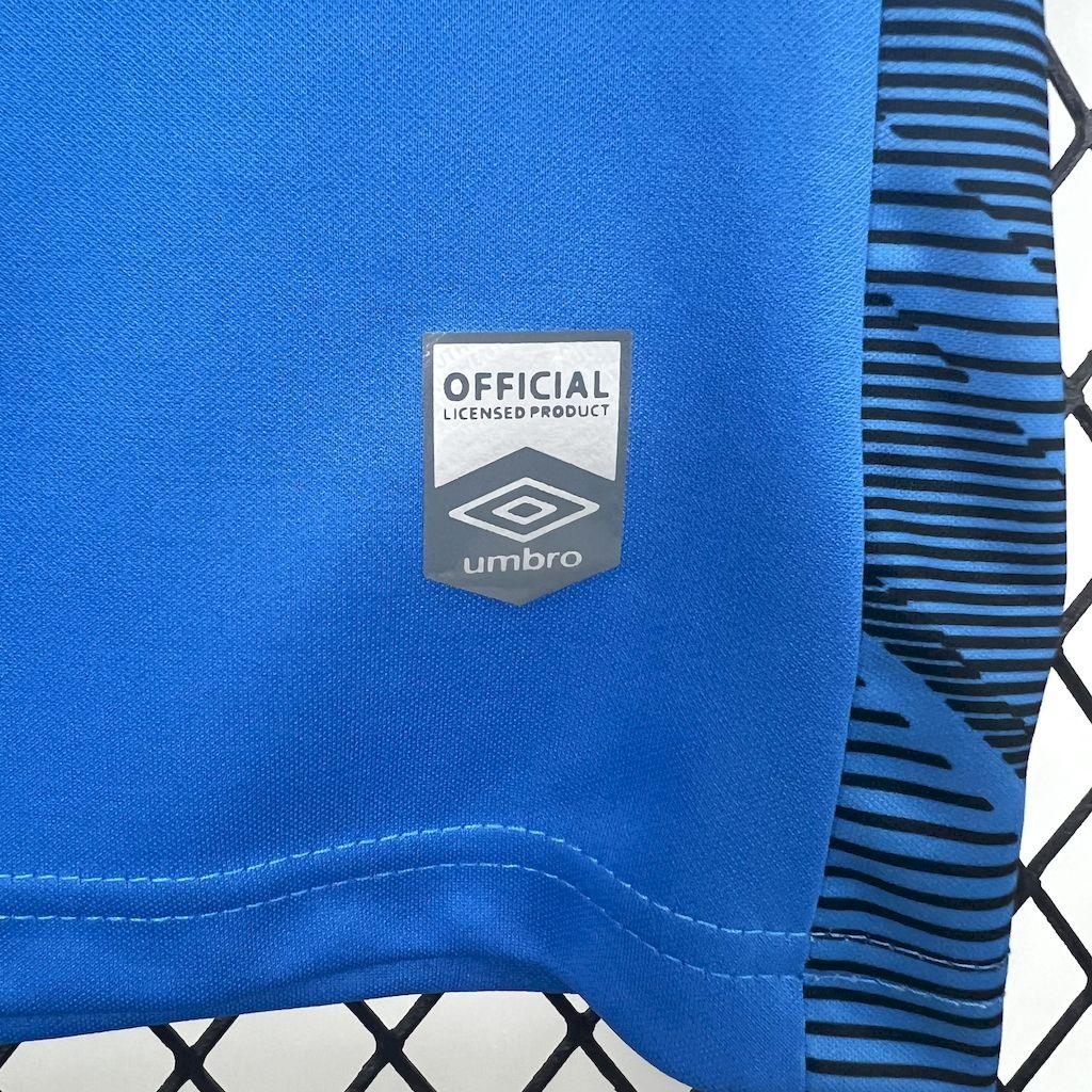 Maillot de gardien Santos 2025-26 Le 12 -ème Maillot, jersey de football avec logo et détails colorés, vue front sur le mannequin