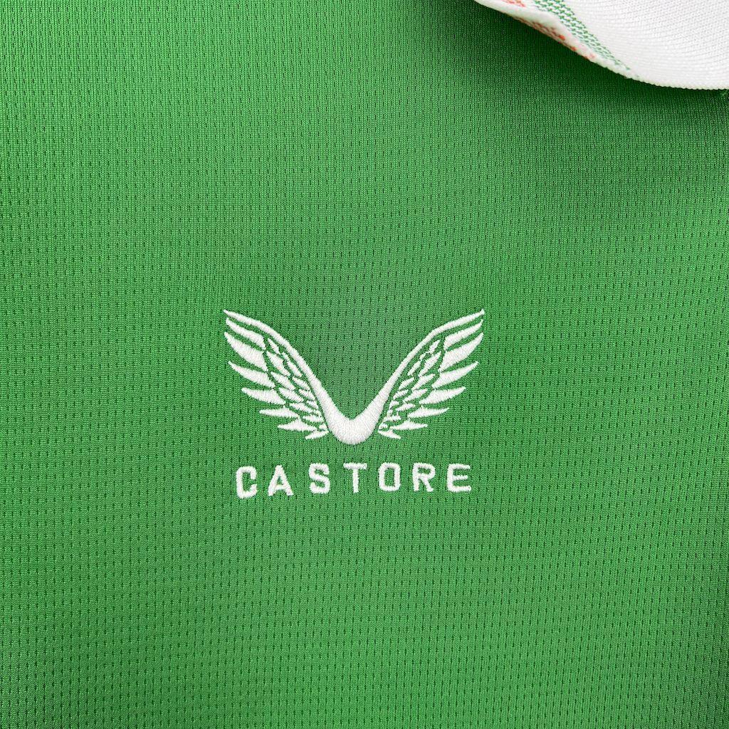 Maillot irlandais 2025 Le 12 -ème Maillot, jersey vert avec logo et détails sportifs, porté sur mannequin.