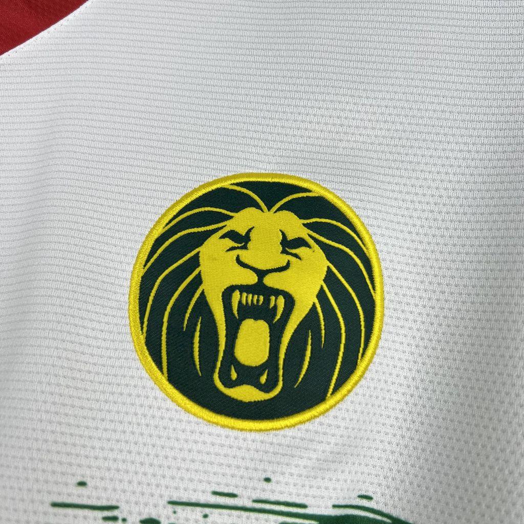 Maillot du Cameroun pour la CAN 2025-26, jersey officiel de l'équipe nationale, avec logo du Cameroun et détails en vert, rouge et jaune.