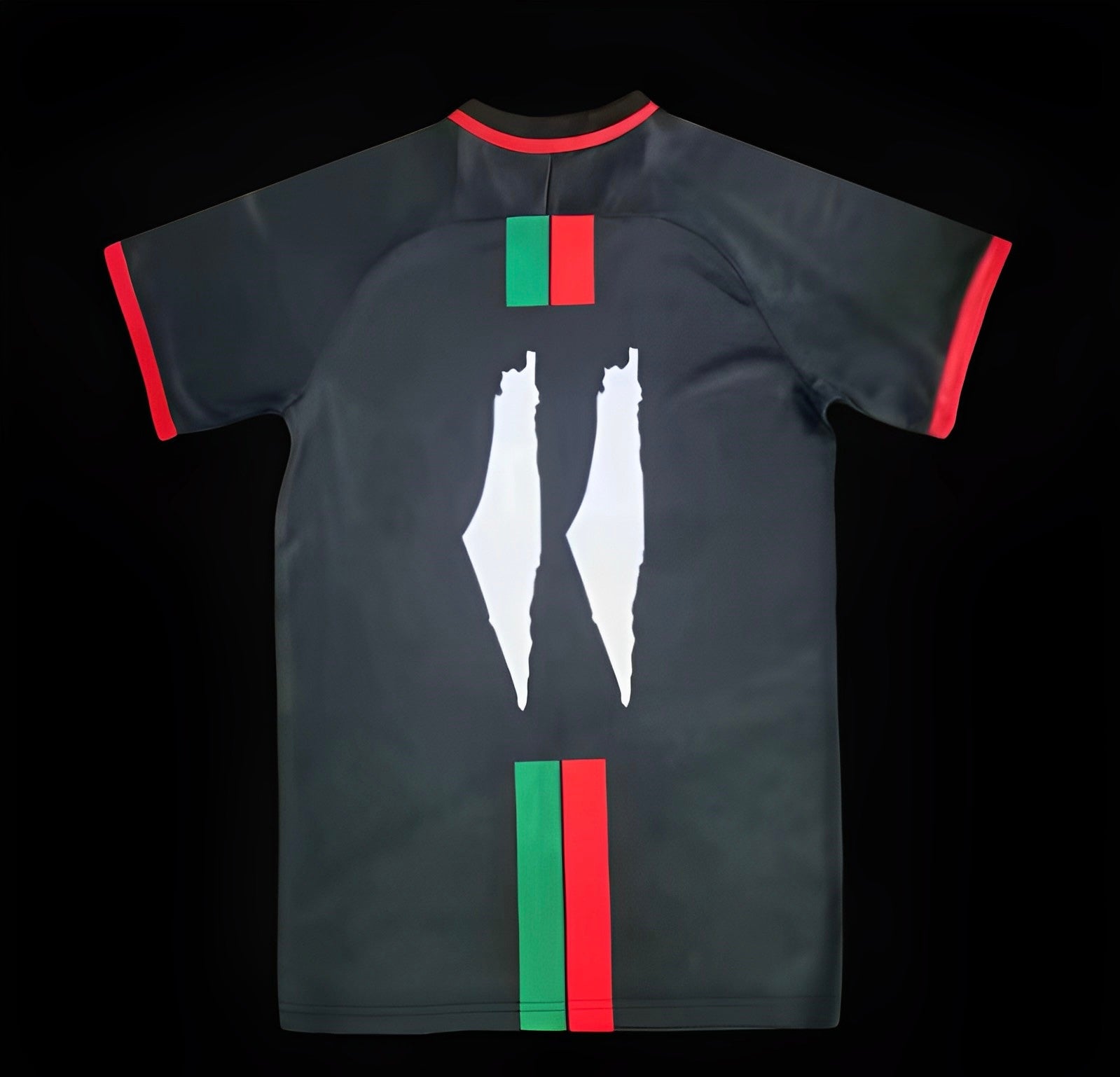 Maillot Palestine édition spéciale noir 2023-2024 de la marque Le 12, vue de face, tissu sportif avec logo et détails.