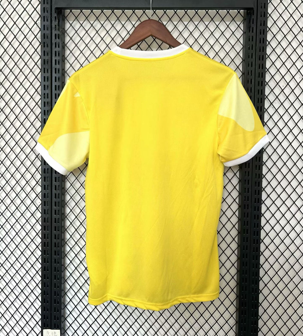 Maillot de football Brésil 25/26, modèle spécial C, de la marque Le 12, avec design coloré et logo visible.