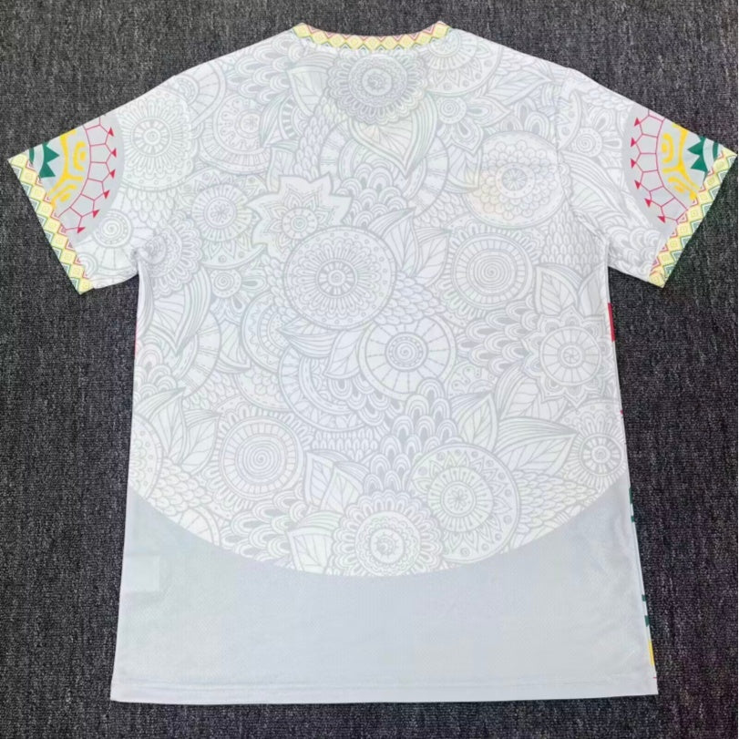 Maillot Mali 25/26 blanc de la marque Le 12 -ème Maillot, vue de face avec logo et détails colorés sur le devant.