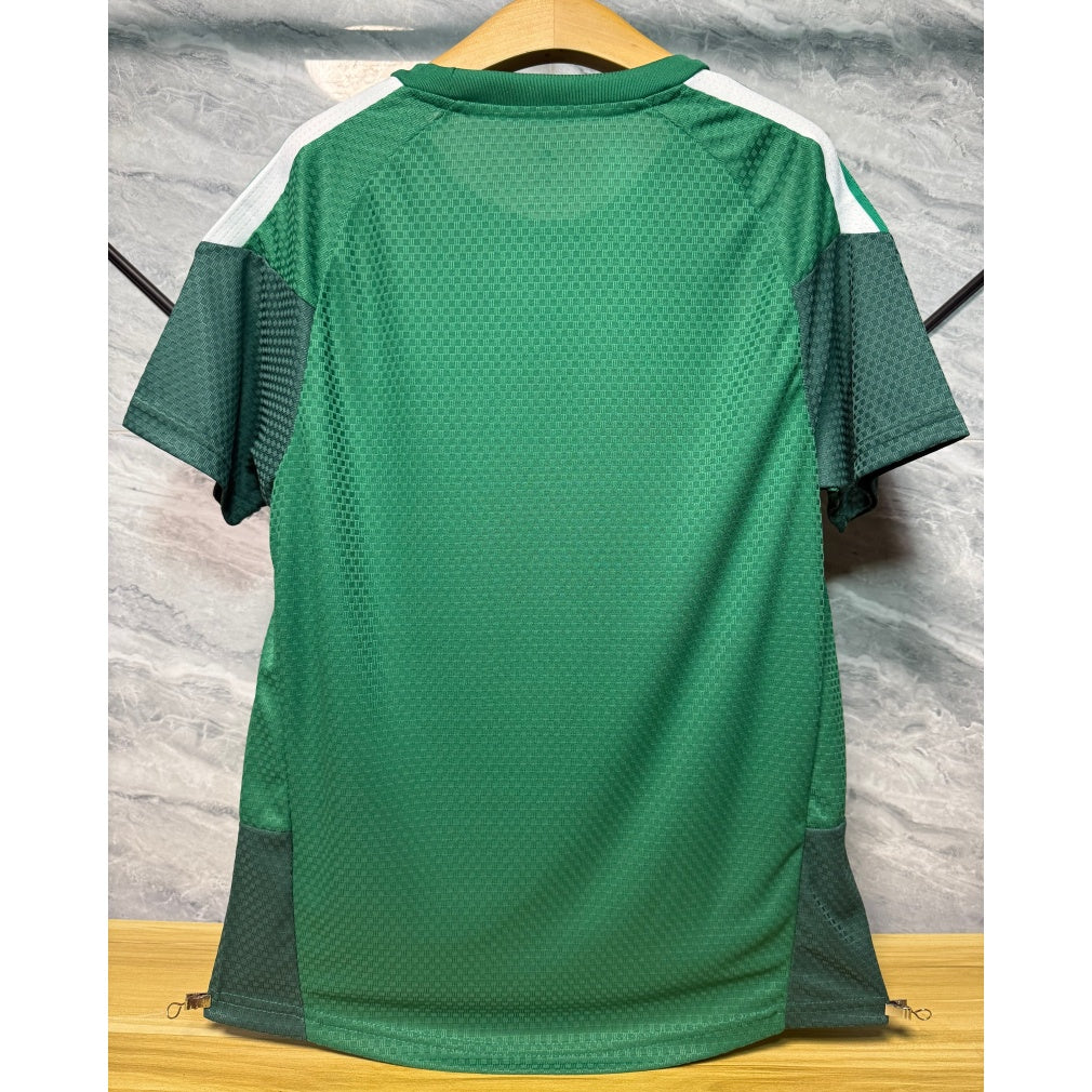 Maillot vert 25/26 de l'équipe Algérie, modèle spécial joueur, par Le 12 -ème Maillot, vue de face.