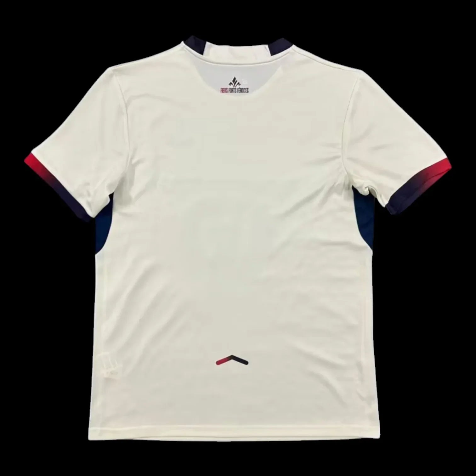 Maillot extérieur Lille 25/26 de Le 12 -ème Maillot, vue de face avec logo et couleurs officielles.