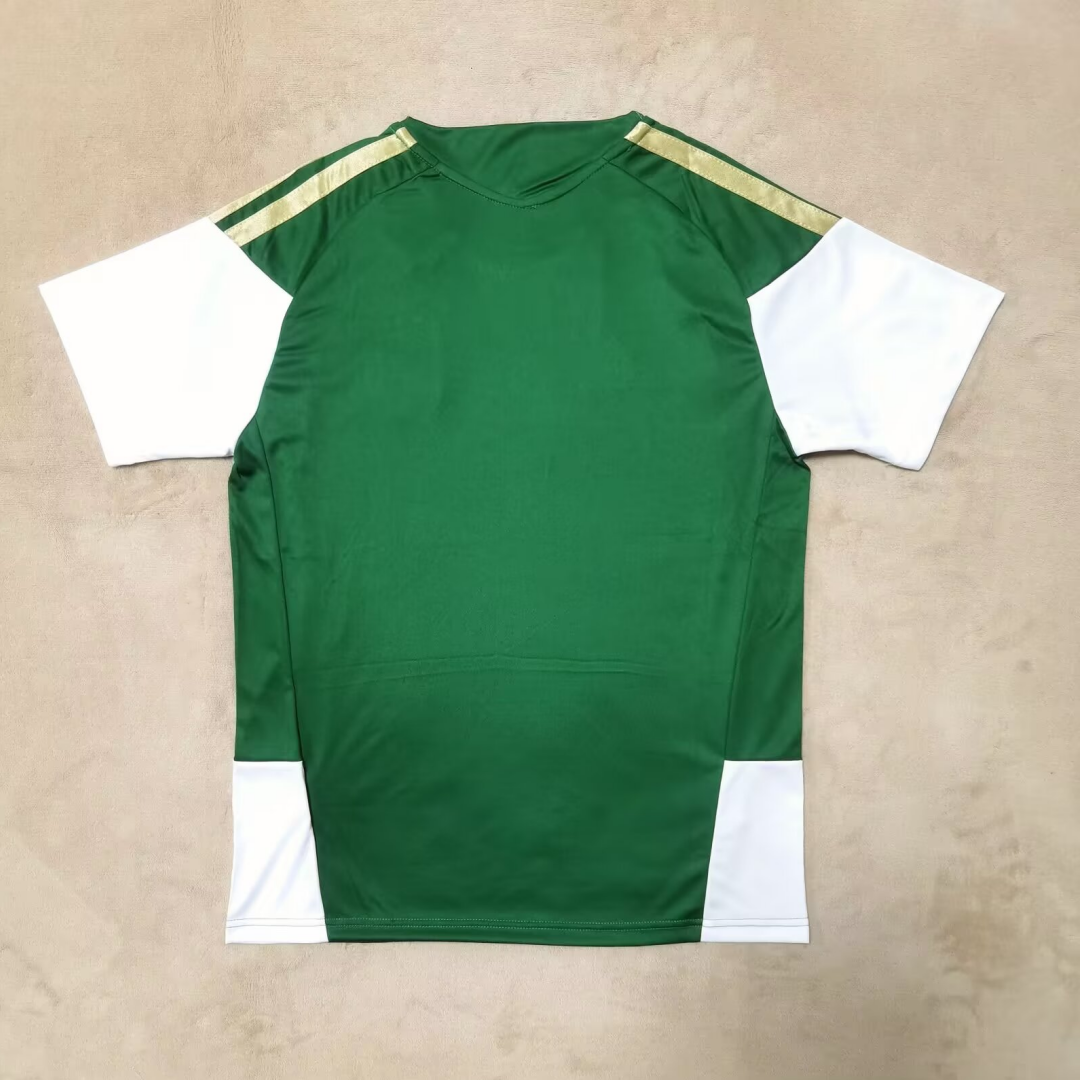 Maillot de football 25/26 Italie Spécial vert, marque Le 12 -ème Maillot, vue de face avec logo et détails en vert.