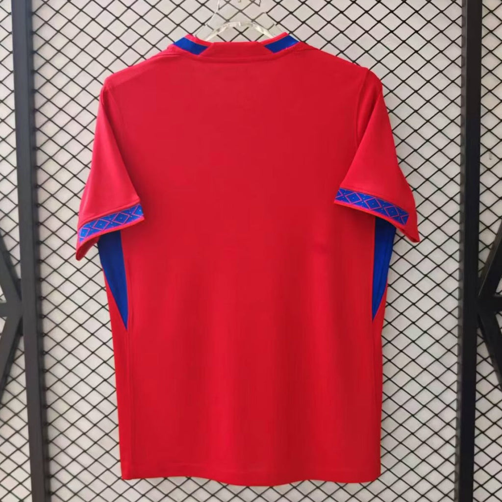 Maillot domicile 25/26 de la Norvège, Le 12 -ème Maillot, maillot de football avec couleurs norvégiennes.