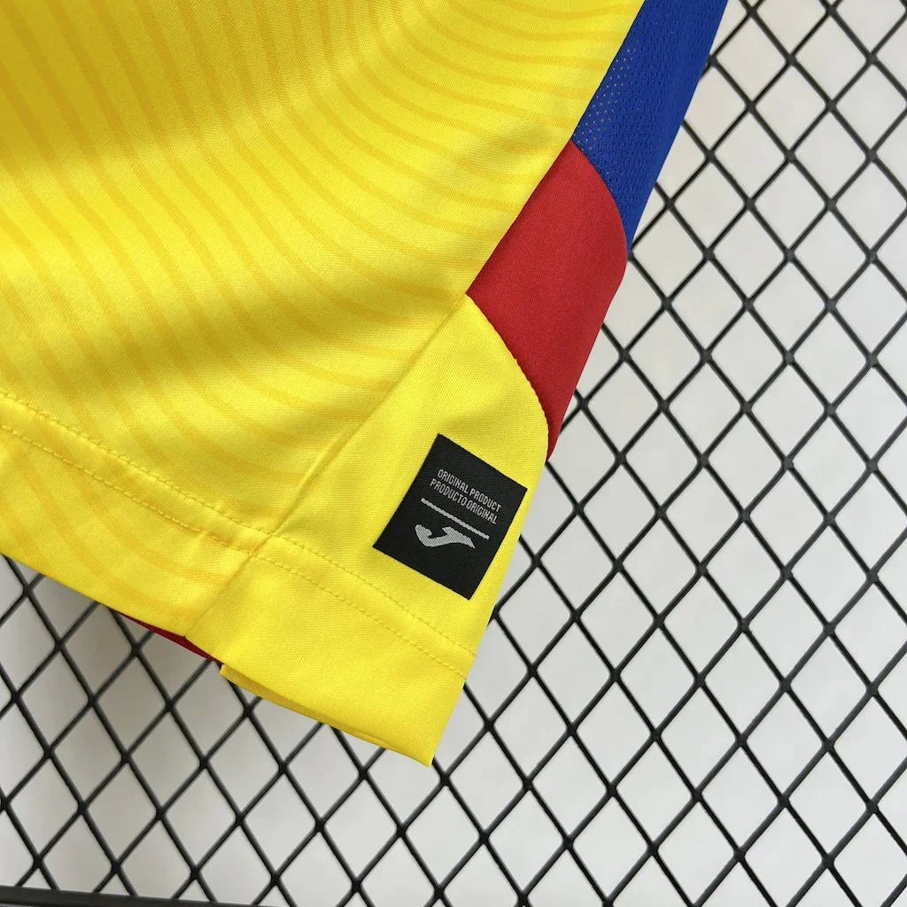 Maillot Romanie 2025 de Le 12 -ème Maillot, vue de face, en tissu coloré avec détails de design modernes.