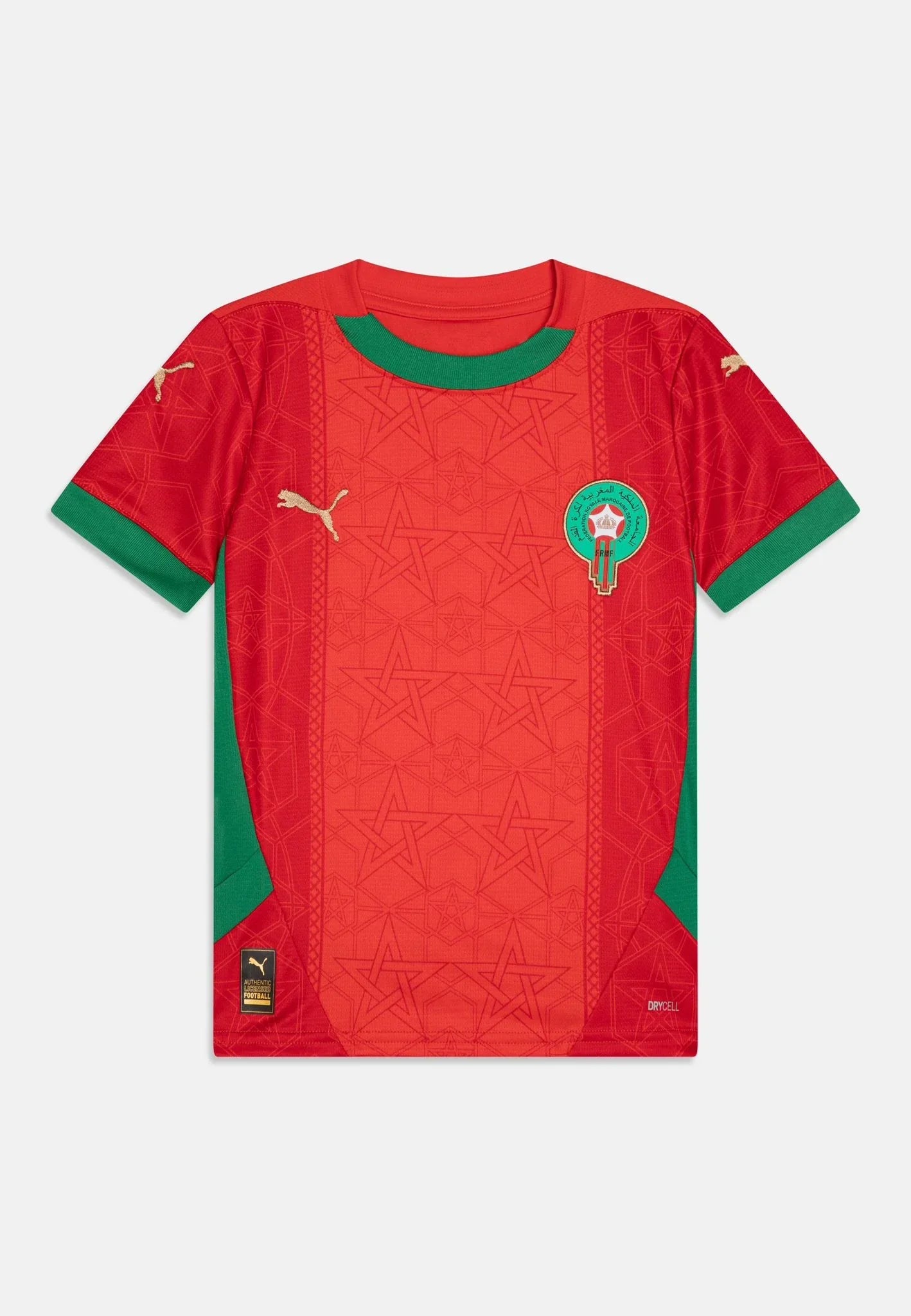 Maillot Maroc 2025 de la marque Le 12 -ème Maillot, vue de face avec design sportif en vert et rouge.